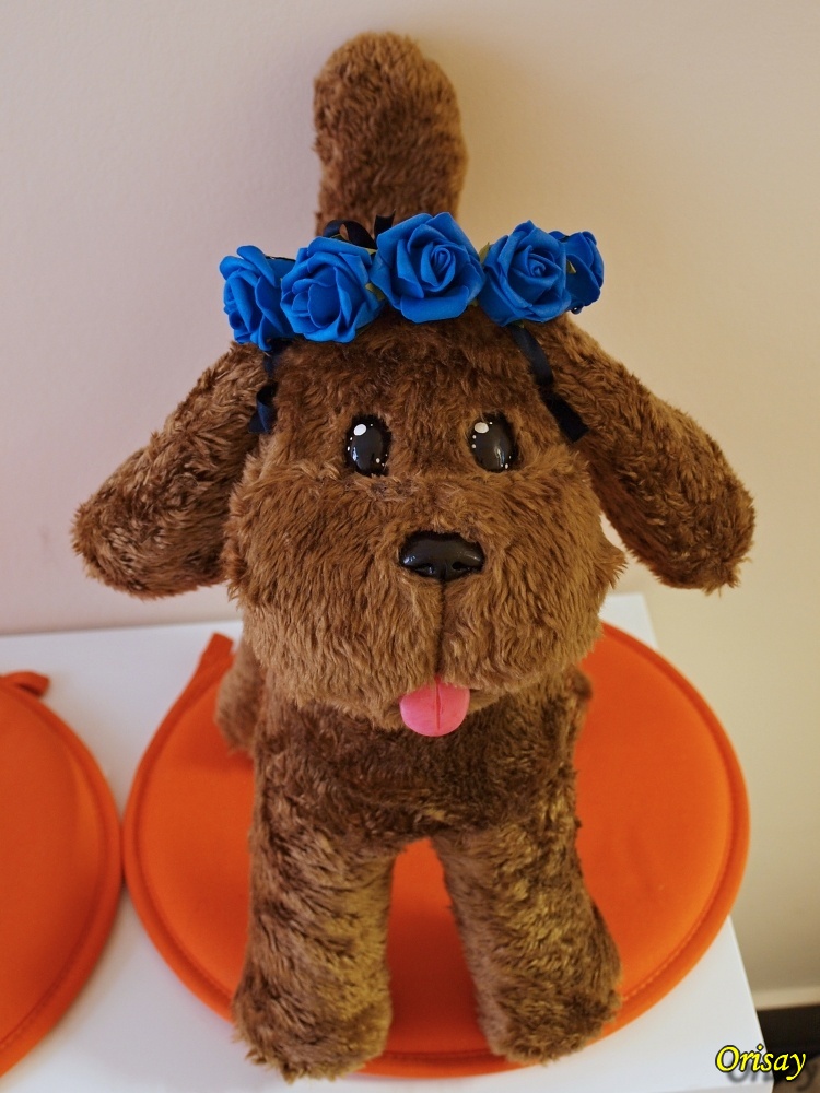 Makkachin 07